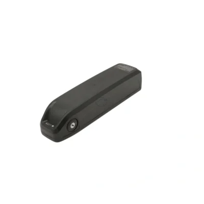 Batterie Rad Power Accu 48V 10.5Ah Compatible