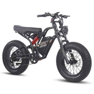 FAFREES F20 ULTRA 750W 20&Prime; Fat Bike E-Mountain Bike 48V 25Ah LG Batterie E-MTB